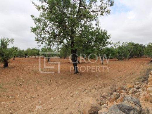Land in Faro, Distrito de Faro