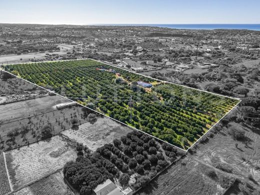 Arsa Loulé, Distrito de Faro