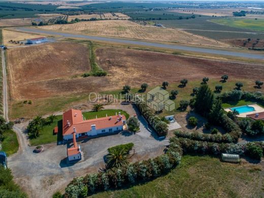 Fattoria a Ferreira do Alentejo, Distrito de Beja