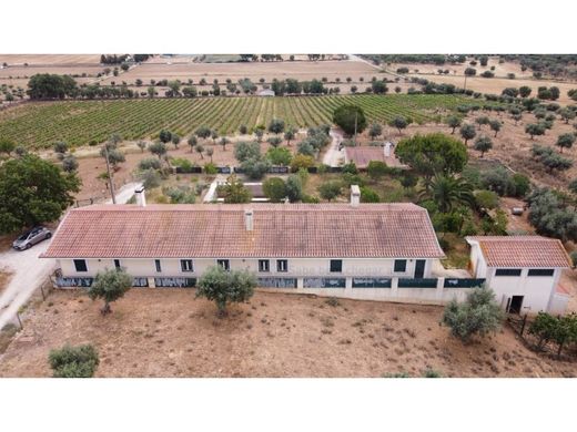 Finca en Estremoz, Évora