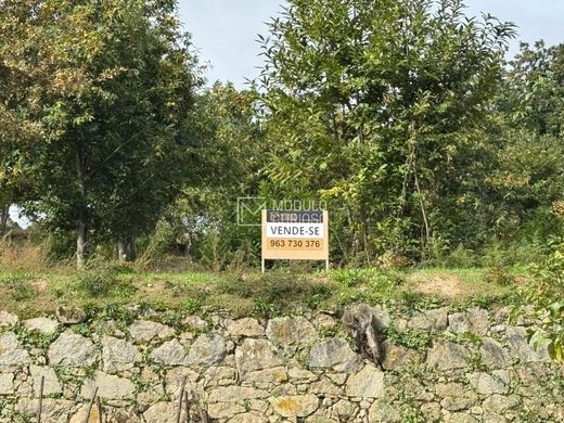 Land in Lamego, Distrito de Viseu