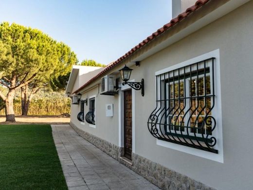 Luxury home in Palmela, Distrito de Setúbal