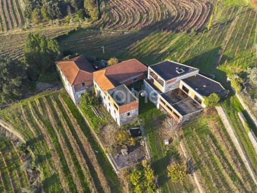 Luxus-Haus in Mesão Frio, Distrito de Vila Real