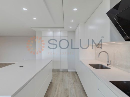 Daire Montijo, Distrito de Setúbal