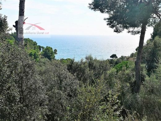 Αγροτεμάχιο σε Tossa de Mar, Província de Girona