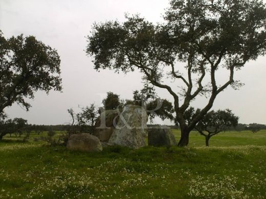 Terreno en Monforte, Portalegre