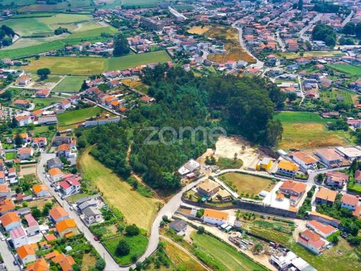 Teren w Santo Tirso, Distrito do Porto