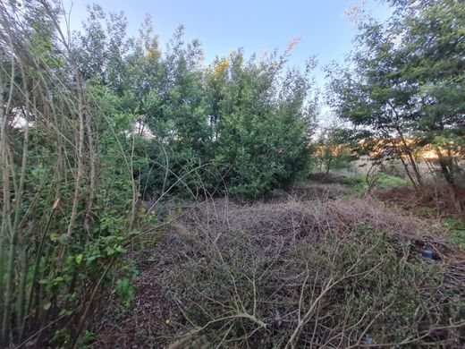 Terreno en Águeda, Aveiro