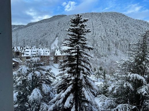 Daire Naut Aran, Província de Lleida