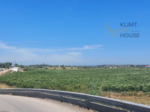 Rural or Farmhouse in Santarém, Distrito de Santarém