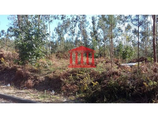 Land in Barcelos, Distrito de Braga
