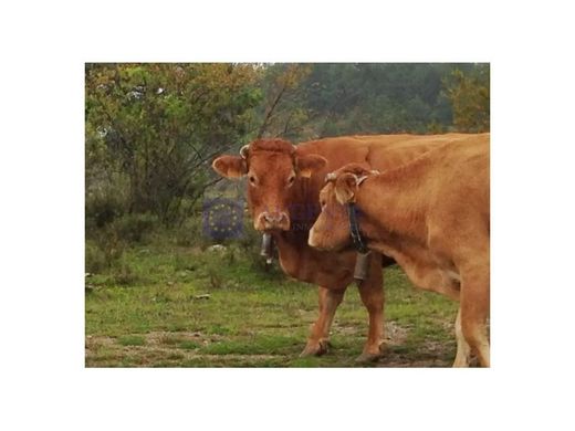 Πολυτελή κατοικία σε Trujillo, Provincia de Cáceres