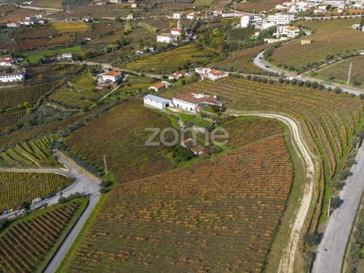 Luxury home in Peso da Régua, Distrito de Vila Real