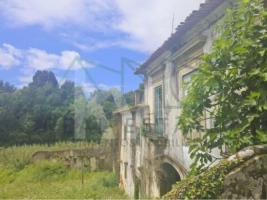 Casa di lusso a Oliveira de Azeméis, Distrito de Aveiro