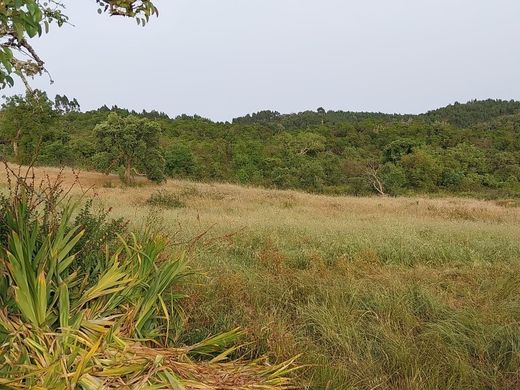 Farm in Odemira, Distrito de Beja