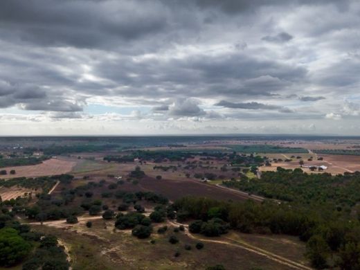 Land in Ferreira do Alentejo, Distrito de Beja