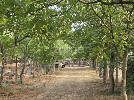 Terreno a Coimbra, Distrito de Coimbra