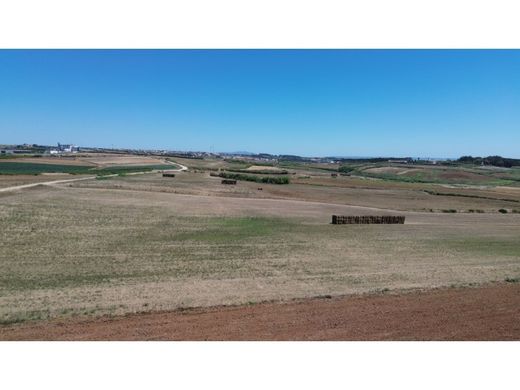 Teren w Lourinhã, Distrito de Lisboa