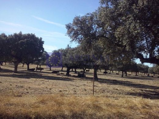 ‏בתים כפריים או חוות ב  Trujillo, Provincia de Cáceres