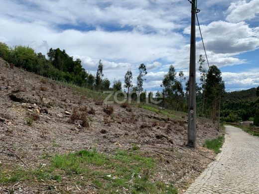 Valongo, Distrito do Portoの土地