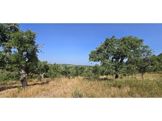 Αγροτεμάχιο σε Santiago do Cacém, Distrito de Setúbal