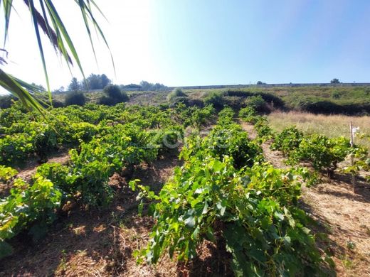 Terreno a Torres Vedras, Lisbona