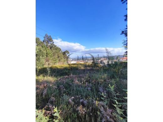 Land in Santa Maria da Feira, Aveiro