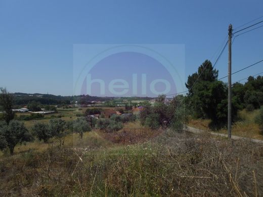 Terreno en Tomar, Santarém