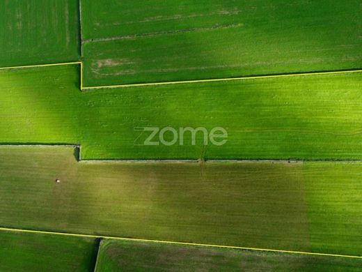 Terrain à Ribeira Grande, Açores