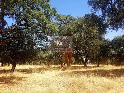 Terreno a Grândola, Distrito de Setúbal