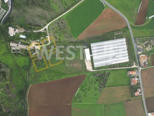 Land in Mafra, Lisbon