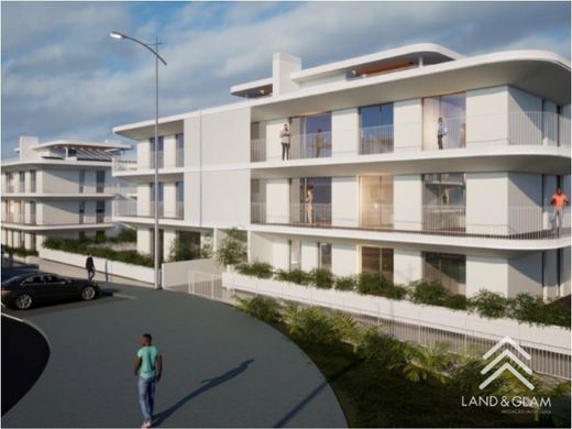 Land in Mafra, Lisbon