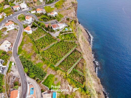 Ribeira Brava, Madeiraの土地