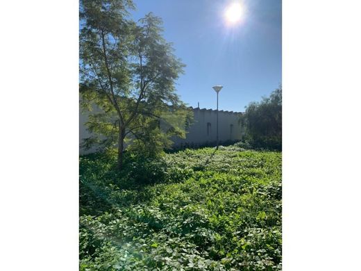 Terreno - Montijo, Setúbal