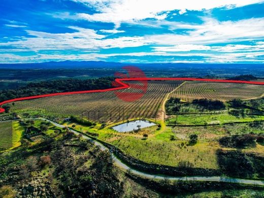 豪宅  Mêda, Distrito da Guarda