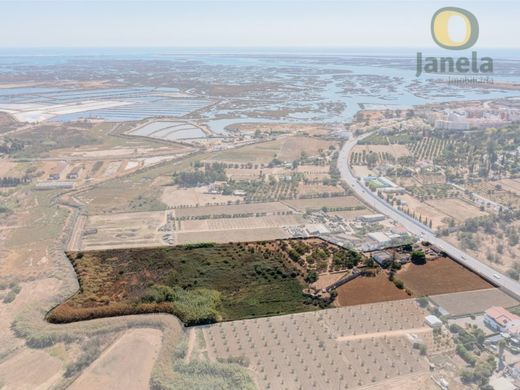 Farm in Faro, Distrito de Faro