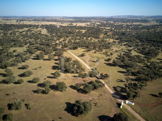 Αγροτεμάχιο σε Portalegre, Distrito de Portalegre