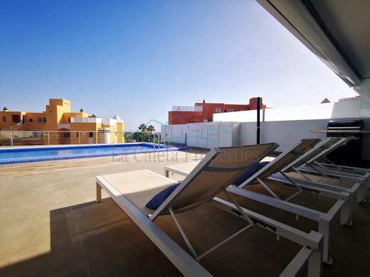 Adeje, サンタ・クルス・デ・テネリフェのアパートメント