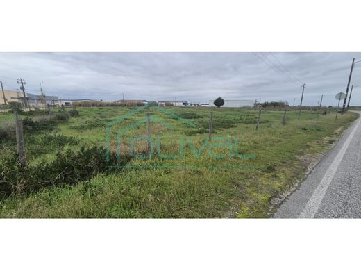 Land in Benavente, Distrito de Santarém