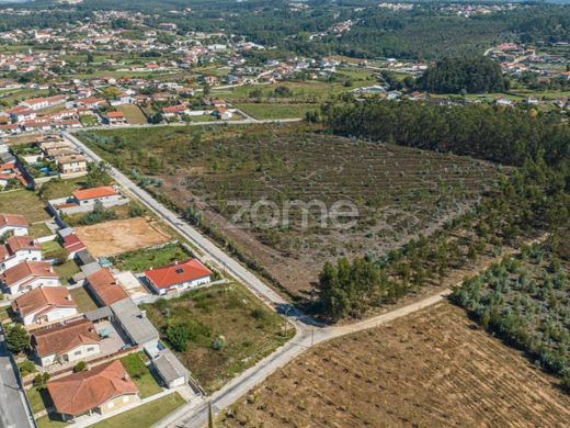 Terreno a Oliveira de Azeméis, Distrito de Aveiro