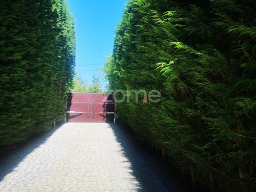 Casa di lusso a Baião, Oporto
