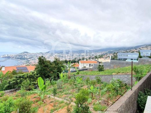 Funchal, Madeiraの土地