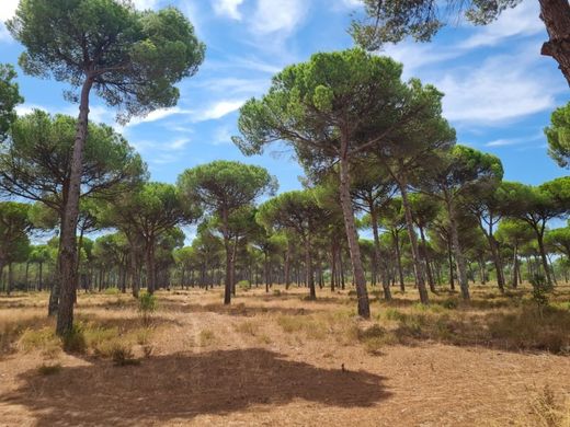 Fattoria a Grândola, Distrito de Setúbal