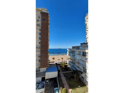 Daire Benidorm, Provincia de Alicante