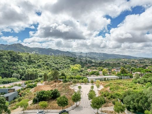 Land in Sintra, Lisbon