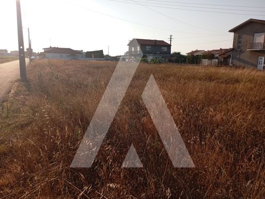 Arsa Ílhavo, Distrito de Aveiro