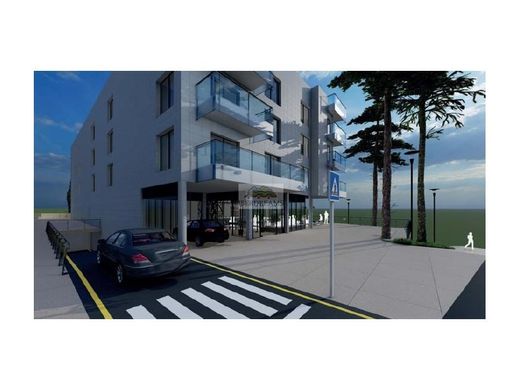 Castell-Platja d'Aro, Província de Gironaの土地