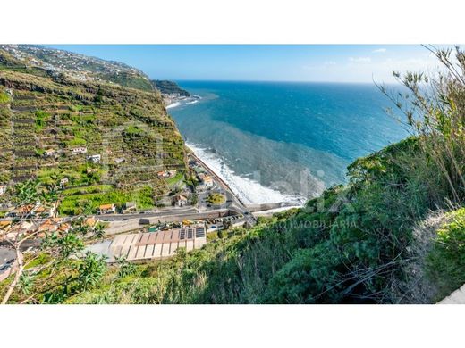 Luxus-Haus in Ribeira Brava, Madeira