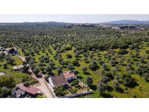 Grond in Estremoz, Distrito de Évora