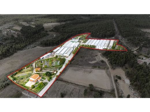 Casa de lujo en Torres Vedras, Lisboa